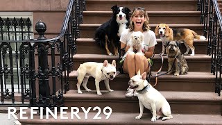 I Got Hired As A Dog Walker  Lucie For Hire  Refinery29 [upl. by Valleau]