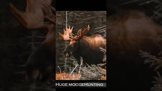 Shooting the Running Moose moosehunting acehgunfishing [upl. by Oileve]