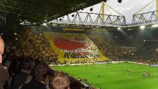 und schon wieder deutscher meister BVB [upl. by Elleyoj157]