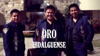 ORO HIDALGUENSELA PASIÓNVIDEO OFICIALcontrataciones cel 0457757849279 [upl. by Esilram]