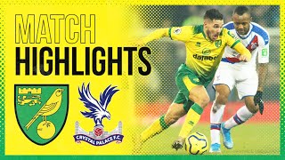 HIGHLIGHTS  Norwich City 11 Crystal Palace  Todd Cantwell Scores His 6th Premier League Goal [upl. by Drisko]