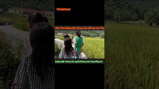 SERIES Bản Tèn Ruộng Bậc Thang Của Người HMong Văn Lăng Đồng Hỷ youtube subscribe shorts 2024 [upl. by Hali]