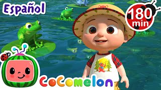 Excursión familiar al estanque 🌊💦🐸  ¡CoComelon  Canciones Infantiles en Español Latino [upl. by Amikahs251]