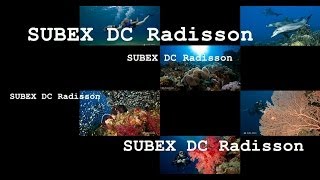 Tauchen mit SUBEX DC Radisson El Quseir [upl. by Codding360]