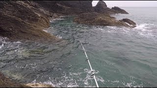 Sea Fishing Mark South Devon Soar mill cove [upl. by Ekenna233]