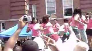 ATL Greek Picnic StrollOff 2008 Alpha Kappa Alpha [upl. by Williamson]