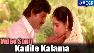 Pedarayudu Movie  Kadile Kalama Video Song [upl. by Ayek]