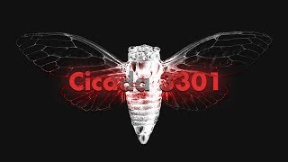 Cicada 3301 An Internet Mystery [upl. by Nnaylloh]