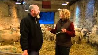 Lambing Live 2010  Episode 2 [upl. by Atsyrhc]