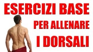 Esercizi DorsaliSchiena Semplici le Trazioni Orizzontali  Personal Trainer 43 [upl. by Llerrej]