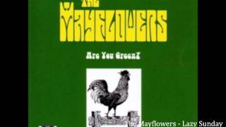 The Mayflowers  Lazy Sunday  Are You Green [upl. by Atinel]