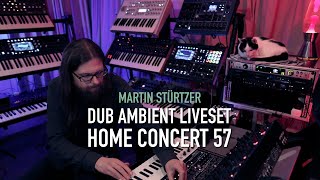 Dub Ambient Liveset Home Concert 57 [upl. by Ecyned]