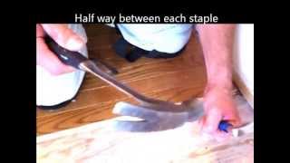 How to remove hardwood EASY [upl. by Notlrahc663]