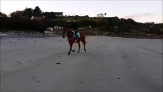 SÉANCE  plat sur la plage Nopleasaro 09 02 2015 [upl. by Iduj482]