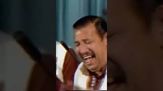 Kehna Ghalat Ghalat Ustad Nusrat Fateh Ali nfaklines nusratfatehalikhan [upl. by Oniger]