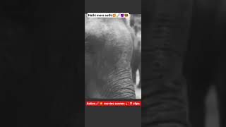 Haathi 👀🔥🍿mere Saathi movie clips🔗😈 shortvideo movie action music movieshorts hathimeresathi [upl. by Rodi]