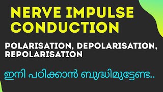 Nerve Impulse ConductionPolarisation Depolarisation RepolarisationNeural control amp Cordination [upl. by Elissa]