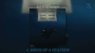 Billie Eilish  BIRDS OF A FEATHER ACAPELLA [upl. by Apps]