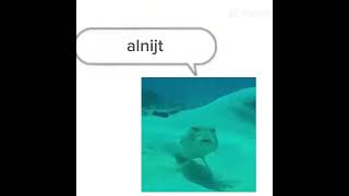 Fish meme [upl. by Greyso246]