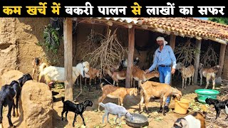 40 एकड़ जमीन है पर शुरू किया कम खर्चे में बकरी पालन  goat farm tour in chhattisgarh [upl. by Anibor446]