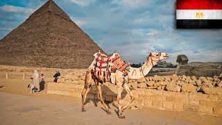 Walking tour among the pyramids ● Egyptian miracle ● Cairo cairo egypt [upl. by Giovanna]