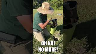 Planting a Native Hedge  Fall Blitz Day 13 shorts nativeplants gardening [upl. by Adal]