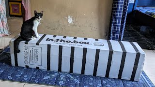 UNBOXING Kasur In The Box Alpha X  Springbed Foam [upl. by Juxon]