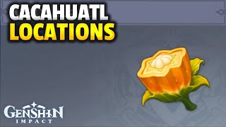 CACAHUATL LOCATIONS  Genshin Impact [upl. by Steffin]