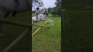 Horse riding fails horseriding equestrian horse trending [upl. by Madella]