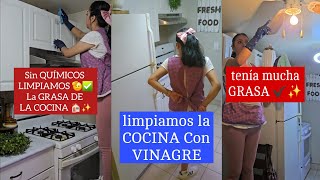 Sin QUIMICOS LIMPIAMOS la GRASA de la COCINA LIMPIEZA DE LA COCINA CON VINAGRE TIPS DE LIMPIEZA [upl. by Ettennat405]