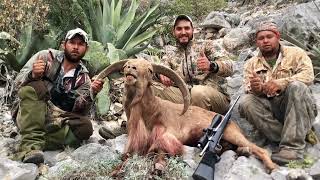 AOUDAD SHEEP HUNT IN OLD MEXICO [upl. by Orgalim]