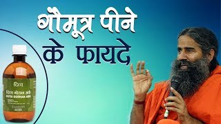 गौमूत्र पीने के फयदे  Swami ramdev [upl. by Dario]