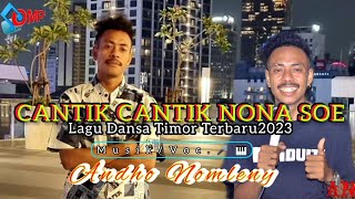 Lagu Dansa Akhir Tahun  CANTIK CANTIK NONA SOE Cipt Rinto Nine  MusicVocAndho Nomleny [upl. by Holt174]