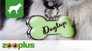 Hundemarke  Dogtap digitale  zooplus [upl. by Maje196]