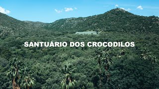 SANTUÁRIO DOS CROCODILOS [upl. by Neemsay]