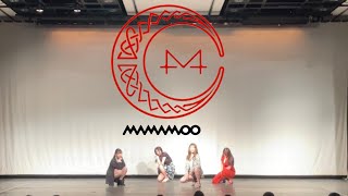 220416 MAMAMOO Egotistic cover dance by chumuly [upl. by Romilly]