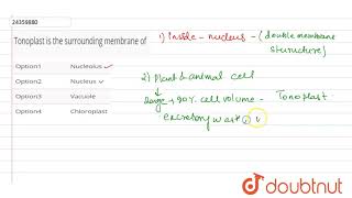 Tonoplast is the surrounding membrane of [upl. by Hako898]