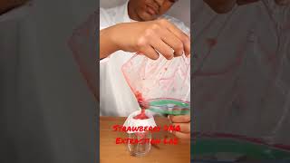 Strawberry DNA Extraction Lab [upl. by Ayote]