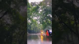 nilambur samadnilambur vlog automobile nature viralshort viralreels viralreels FOREST love [upl. by Gerbold]