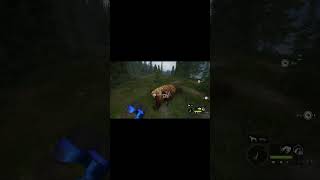 Greatone Black bear 469 kills Cotw [upl. by Obediah]