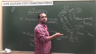 Axiomatic approach to Probability  CBSE 11 Maths NCERT Ex 163 intro Part 2 [upl. by Ahsenroc]