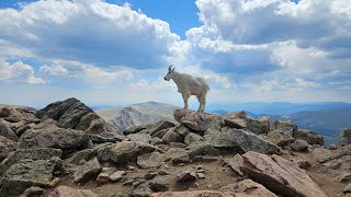 Mount Bierstadt 14065 [upl. by Rehnberg327]