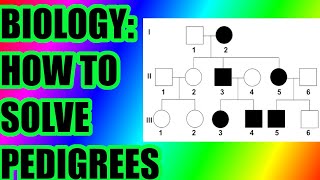 Biology How To Solve Pedigree Charts amp Questions [upl. by Thirzia117]