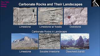 How Do Carbonate Rocks Form Chapter 7  Section 711 [upl. by Gabriella]