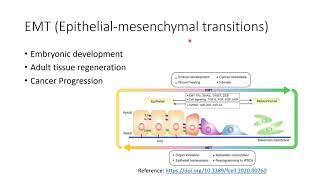 Cancer EMT EpithelialMesenchymal Transitions Epigenetic Priming Code 79 [upl. by Vasti202]