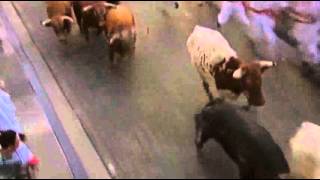 Raw Running With the Bulls in Spain [upl. by Peacock]