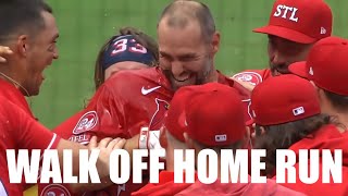 Paul Goldschmidt Walks It Off with a Solo Home Run vs Nationals [upl. by Carlisle469]