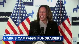 Online fundraisers for VP Kamala Harris raise over 200 million [upl. by Leynwad]