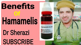 Hamamelis Virg Homeopathic Medicine Benefits  irregular Periods Treatment [upl. by Hjerpe574]