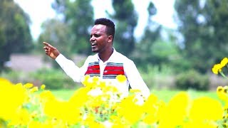 Ifaa Taliilaa Caalii  Ayyaana  New Ethiopian Music 2019 Official Video [upl. by Glynda631]